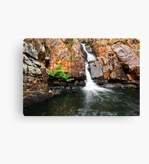 Untitled Canvas Print