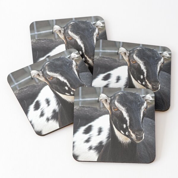 Item preview, spotted lamancha goat  designed and sold by Stephanie  Skeem.
