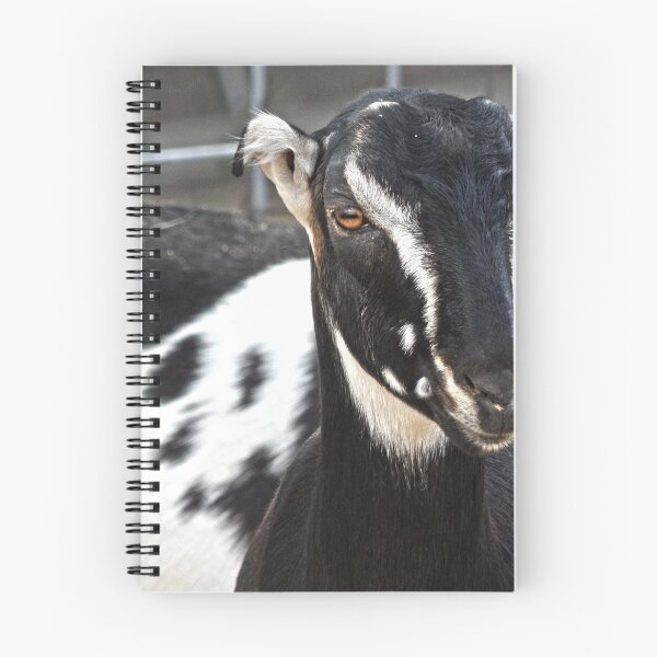 Item preview, spotted lamancha goat  designed and sold by Stephanie  Skeem.