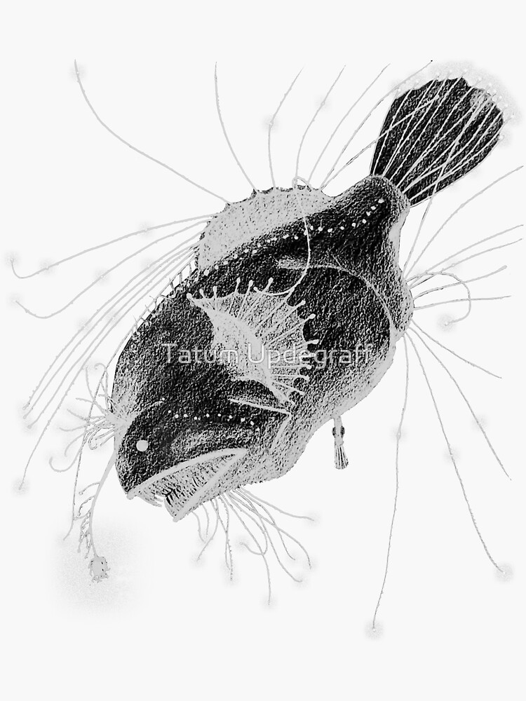 Deep Sea Fish Sticker, Angler Fish, Illustration Sticker, Vinyl