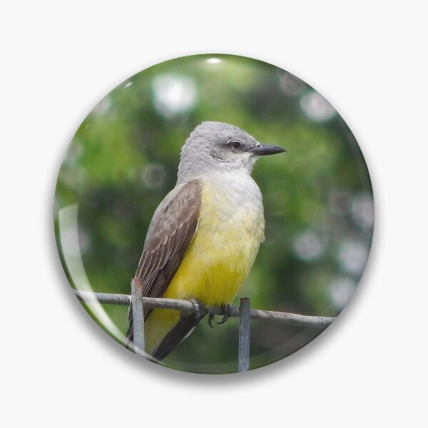 Item preview, Yellow bellied Kingbird  designed and sold by Stephanie  Skeem.