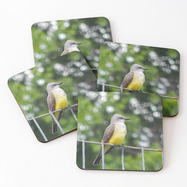 Item preview, Yellow bellied Kingbird  designed and sold by Stephanie  Skeem.