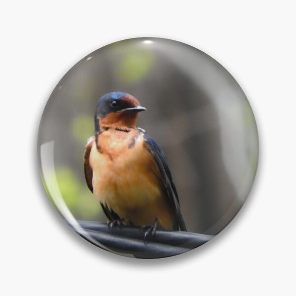 Item preview, utah barn swallow  designed and sold by Stephanie  Skeem.