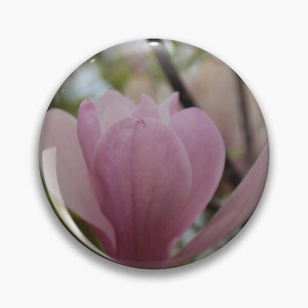 Item preview, Magnolia Tree in Bloom designed and sold by Amber Ryder.