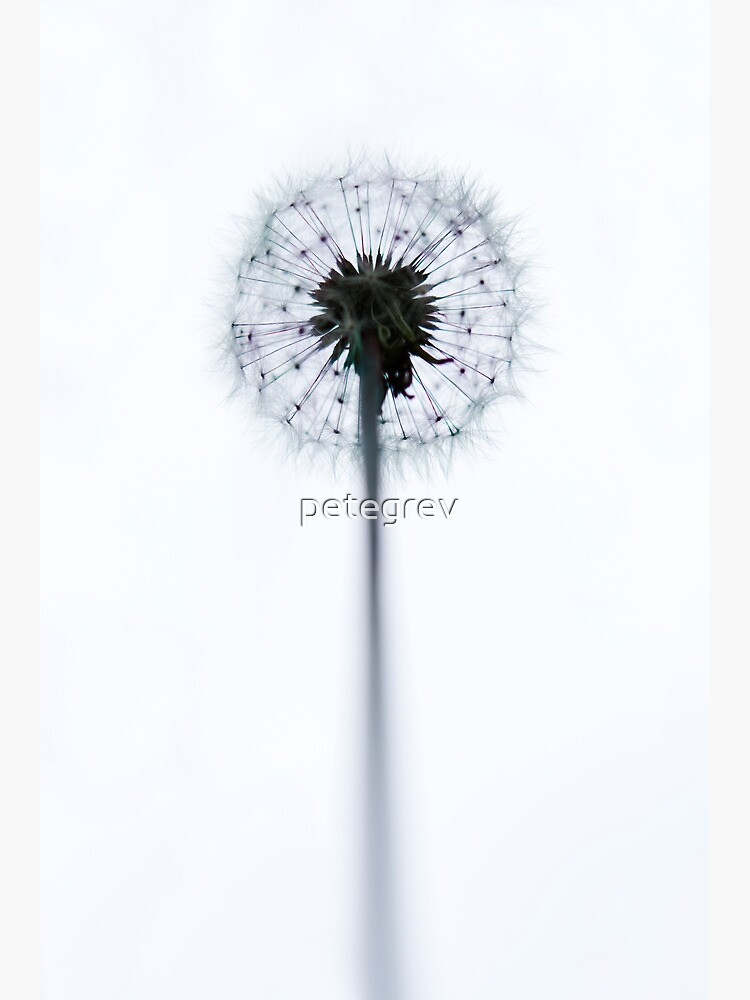 Day 327 - 1st June 2012 by petegrev