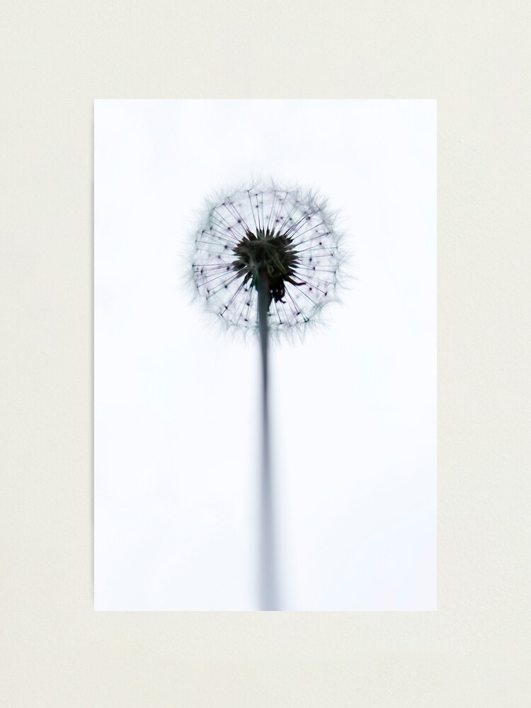 Alternate view of Day 327 - 1st June 2012 Photographic Print