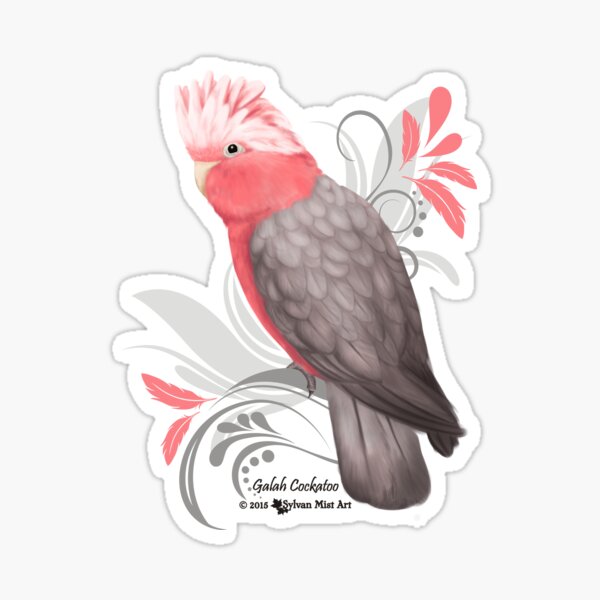 Galah Cockatoo Sticker
