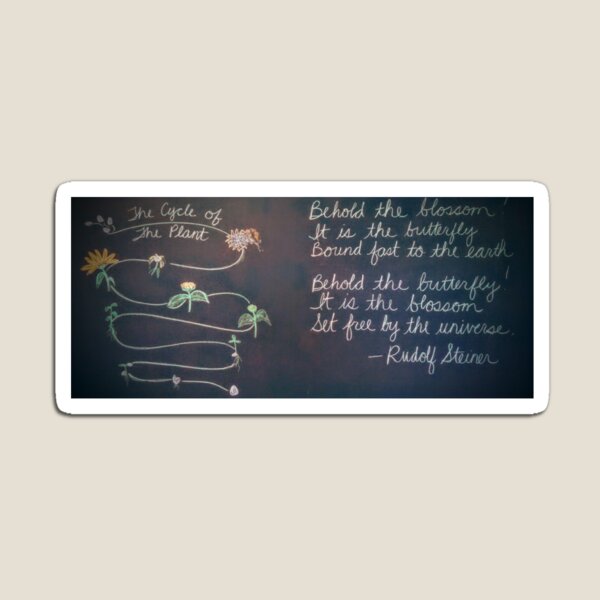 Cycle of the Plant with Steiner Quote Magnet
