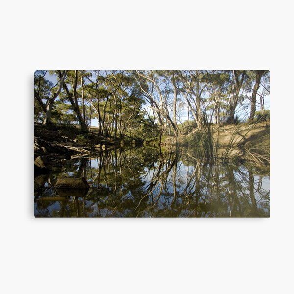 Reflections Metal Print