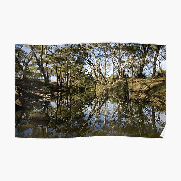 Reflections Poster