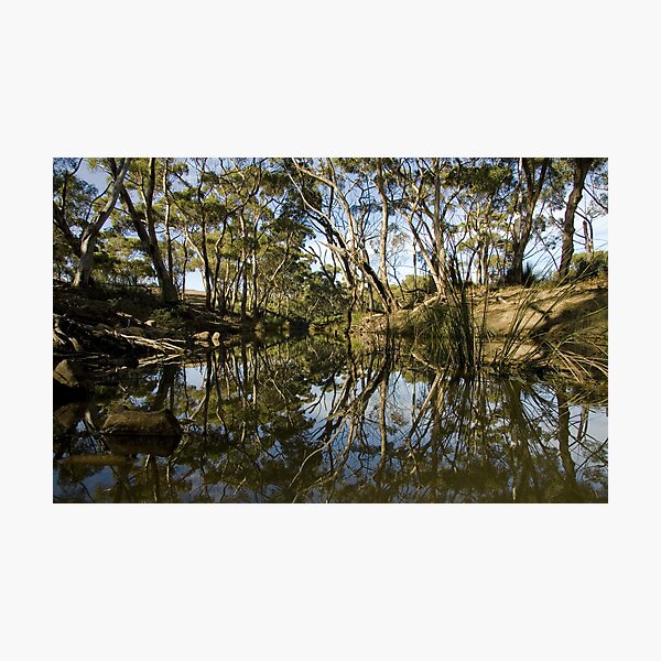 Reflections Photographic Print