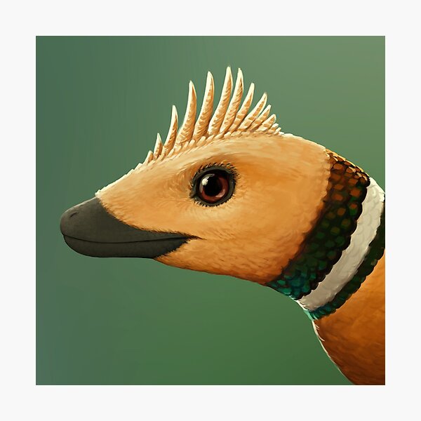 Jinfengopteryx Photographic Print