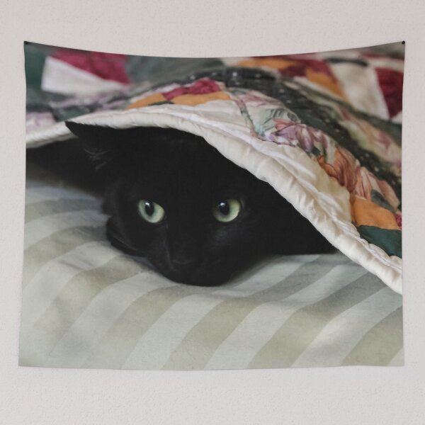 Item preview, Suki Under the Covers designed and sold by heatherfriedman.