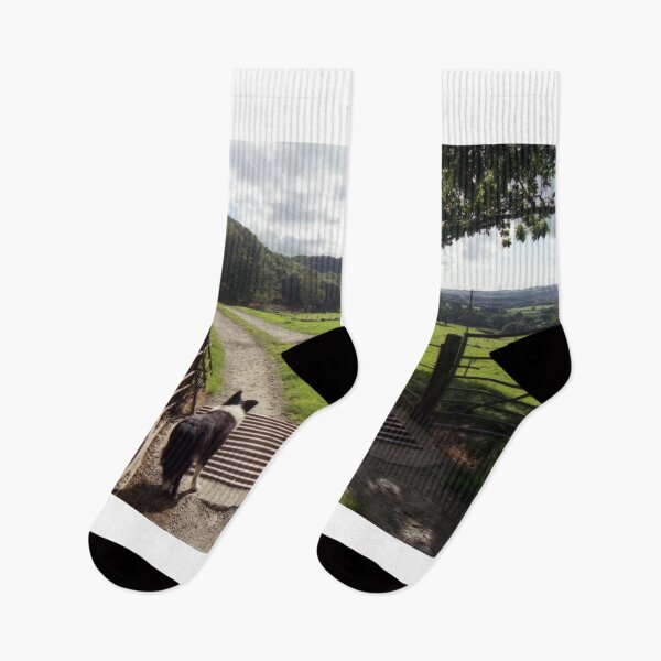 Item preview, Where Indy was born designed and sold by Michael Haslam.