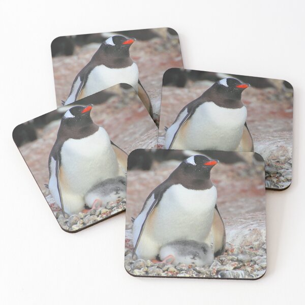 Item preview, Gentoo Penguin With Chick designed and sold by Carole-Anne.