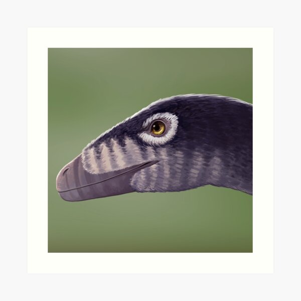 Troodon Art Print
