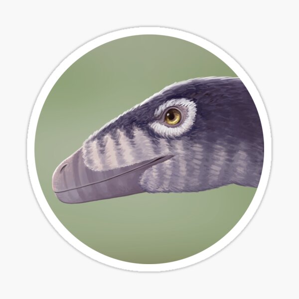 Sticker Troodon Redbubble