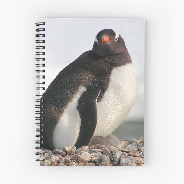 Item preview, Gentoo Penguin With Chicks designed and sold by Carole-Anne.