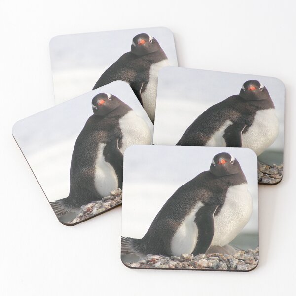 Item preview, Gentoo Penguin With Chicks designed and sold by Carole-Anne.