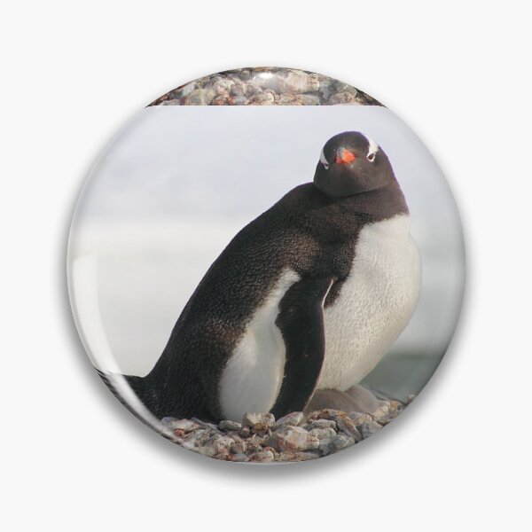 Item preview, Gentoo Penguin With Chicks designed and sold by Carole-Anne.