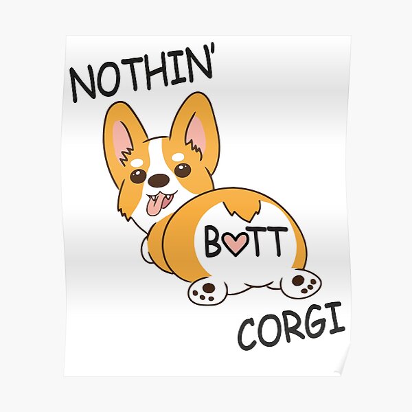 corgi Poster