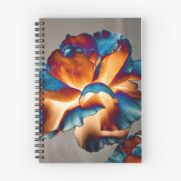 Item preview, VIBRANT MULTI COLOURED ROSE  designed and sold by Teresa Chipperfield.