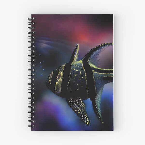 Item preview, Banggai cardinalfish designed and sold by LudaNayvelt.