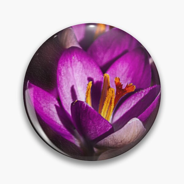 Artikelvorschau, Winter Crocus entworfen und verkauft von LudaNayvelt.