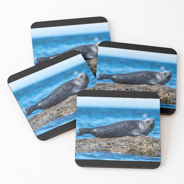 Item preview, HARBOR SEAL  designed and sold by KennyBImages899.