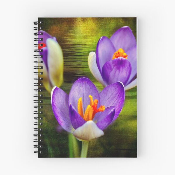 Item preview, February crocus designed and sold by LudaNayvelt.