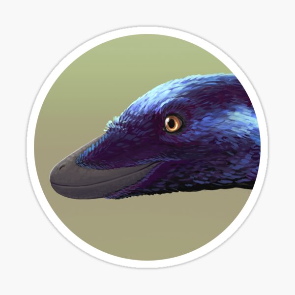 Microraptor Sticker