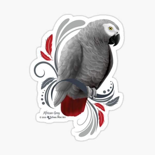 Realistic Tattoo of Parrot by Fabian  Supreme Custom Tattoo