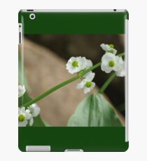 White Beauty iPad Case/Skin