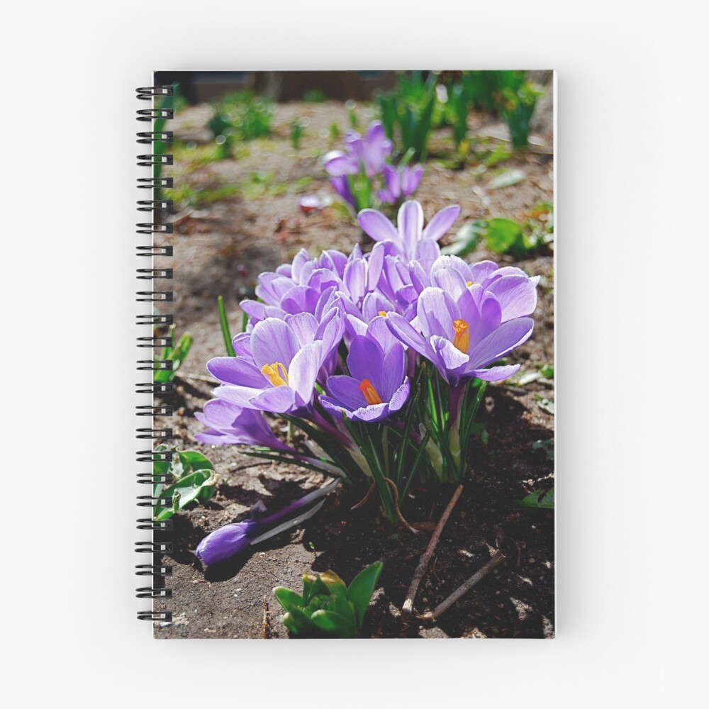 Item preview, Spiral Notebook designed and sold by Photomojo.