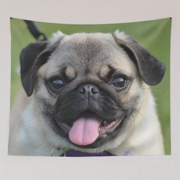 Item preview, Just too cute- baby pug designed and sold by lizdomett.
