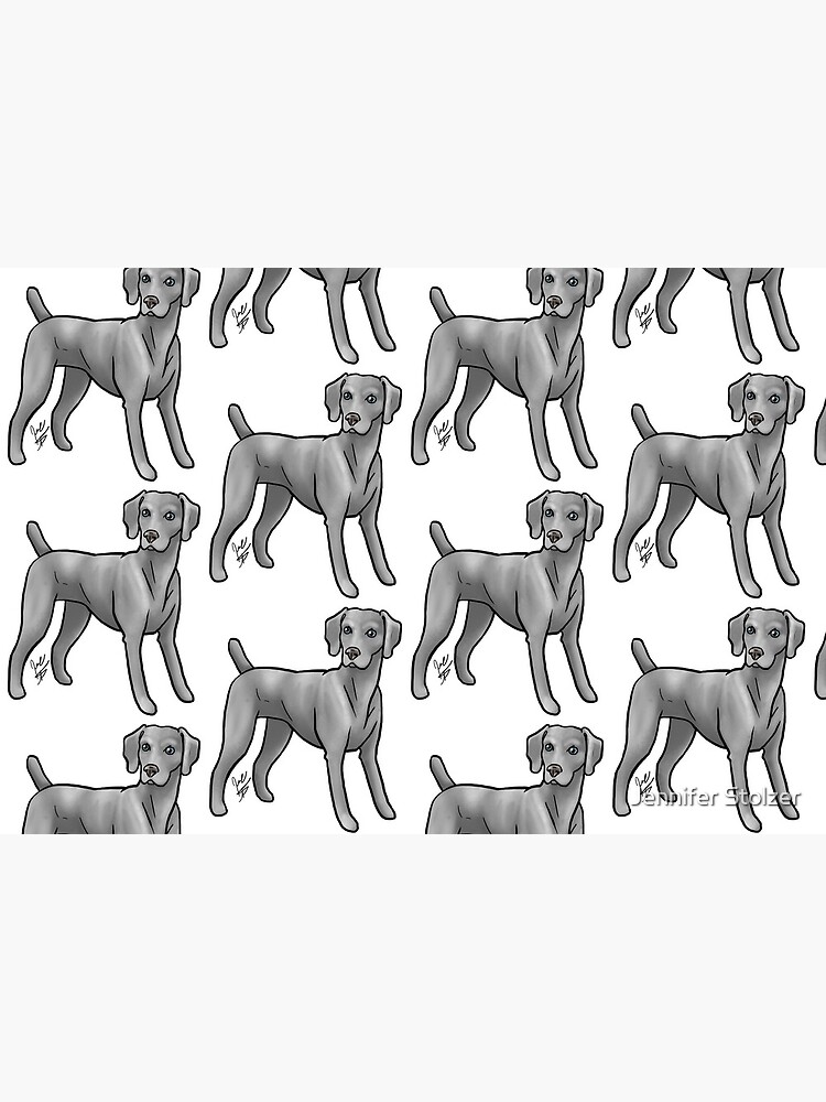 Weimaraner by jameson9101322