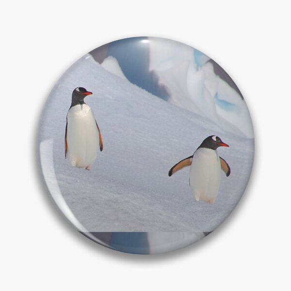 Item preview, Gentoo Penguins On The Slippery Slope designed and sold by Carole-Anne.