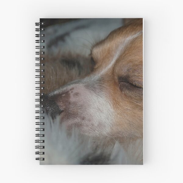 Item preview, Siesta Time  designed and sold by Rebecca Bryson.