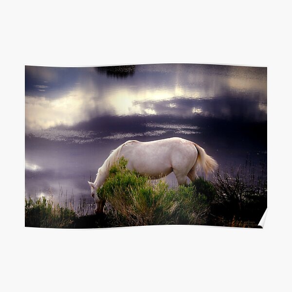 "In Wildness is the Preservation of the World." Poster