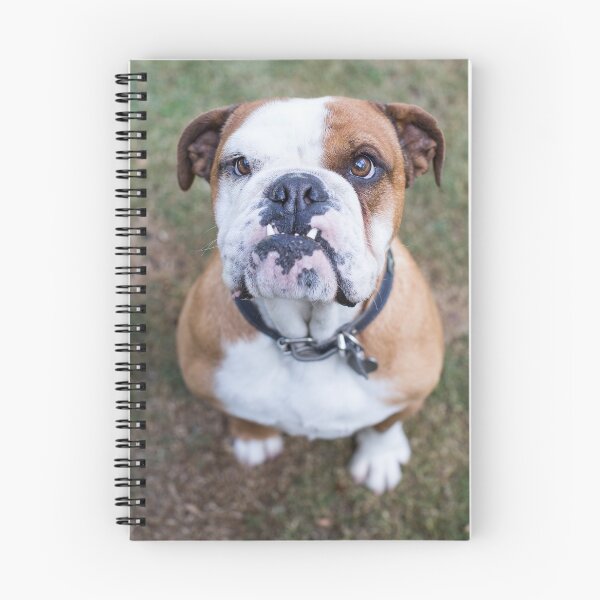 Item preview, English Bulldog designed and sold by ManwithaCamera.