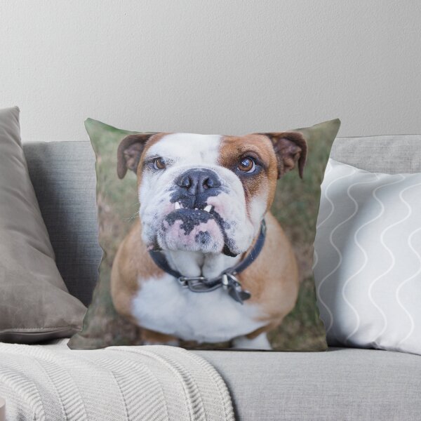 Item preview, English Bulldog designed and sold by ManwithaCamera.