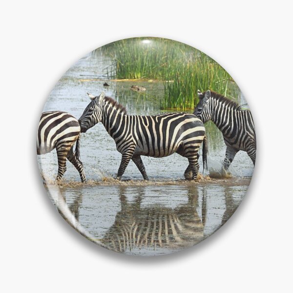 Item preview, Zebras Stepping Out designed and sold by Carole-Anne.