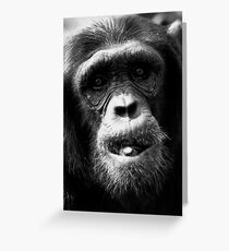 Chimpanzee Greeting Card