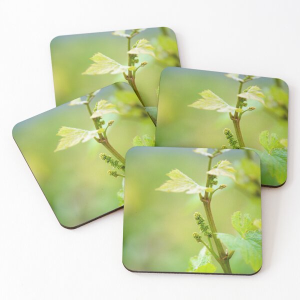 Item preview, Young leaves and fruits of gamay designed and sold by Gaël FONTAINE.