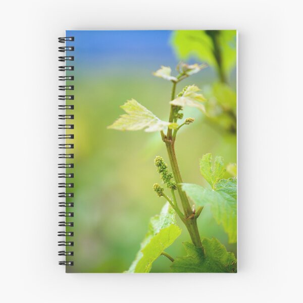 Item preview, Young leaves and fruits of gamay designed and sold by Gaël FONTAINE.