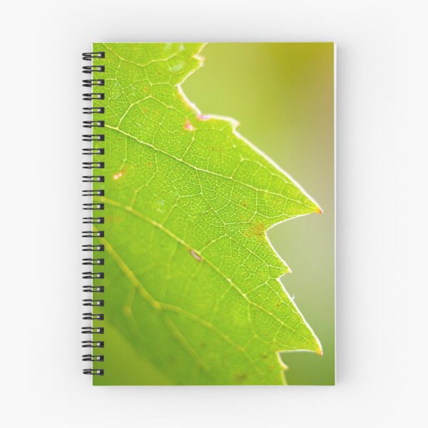 Item preview, Focus on gamay green leaf designed and sold by Gaël FONTAINE.