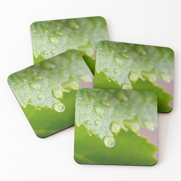 Item preview, Droplets on gamay leaf designed and sold by Gaël FONTAINE.