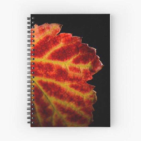 Item preview, Red leaf of gamay during fall season designed and sold by Gaël FONTAINE.