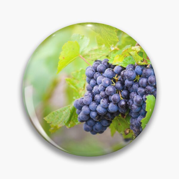 Item preview, Gamay fruits of Beaujolais designed and sold by Gaël FONTAINE.
