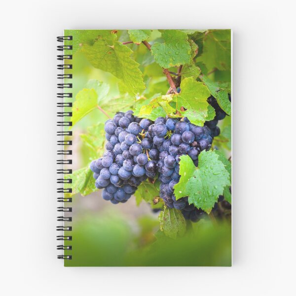 Item preview, Gamay fruits of Beaujolais designed and sold by Gaël FONTAINE.